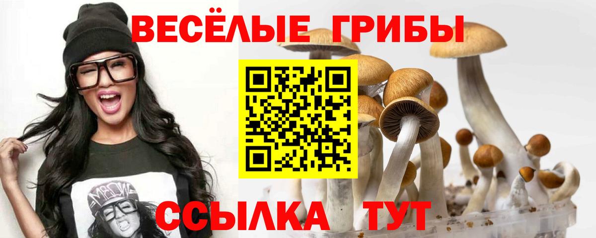 Псилоцибиновые грибы Magic Shrooms Реж